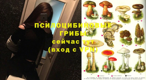 дживик Кинешма