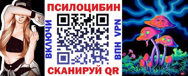 Псилоцибиновые грибы Cubensis Биробиджан