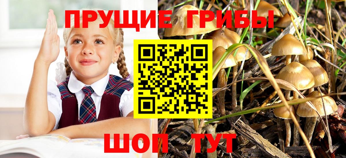 Галлюциногенные грибы ЛСД  Вход с VPN  Биробиджан  Галлюциногенные грибы Magic Shrooms 