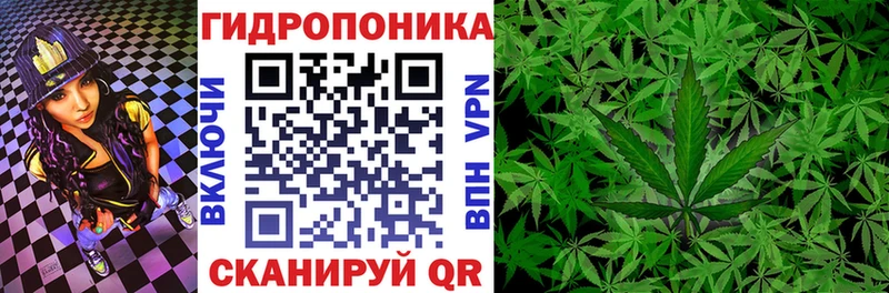 дарк нет состав  OMG рабочий сайт  Биробиджан  МАРИХУАНА Ganja 